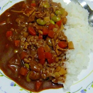 和風あっさりカレー